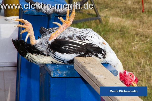 Foto Laudi -96.JPG